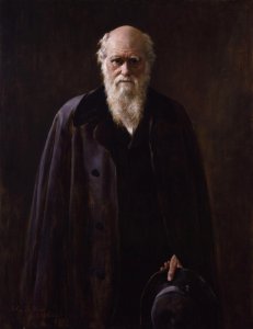 Portrait of Charles Darwin (1809-1882) 1883